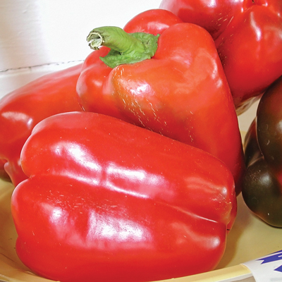 pepper_PNG3264