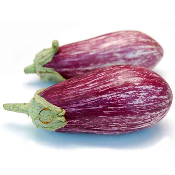 خرید بذر بادمجان کالیوپ -فروشگاه گلس گاردن