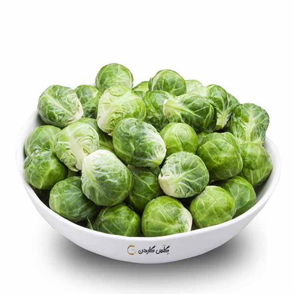 بذر کلم بروکسل -- Brussels sprout -- گلس گاردن (18)