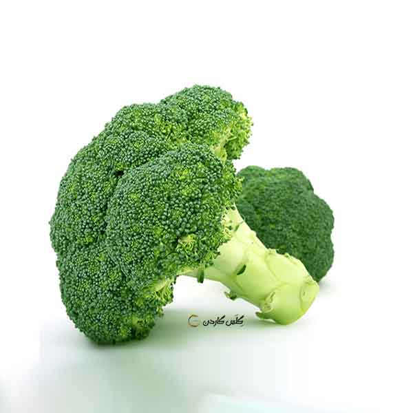 Fresh green vegetable, isolated over white
