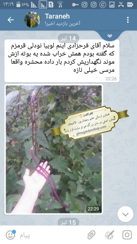 تصاویر محصول دهی بذرهای گلس گاردن