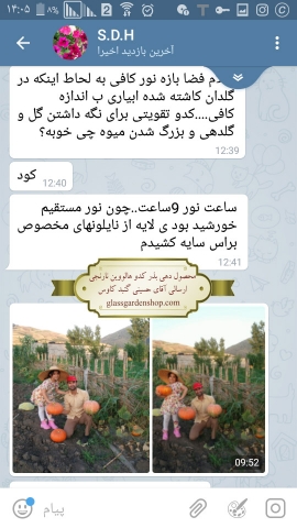 محصول دهی بذر کدو هالوین نارنجی- ارسالی آقای حسینی -گنبد کاووس -گلس گاردن